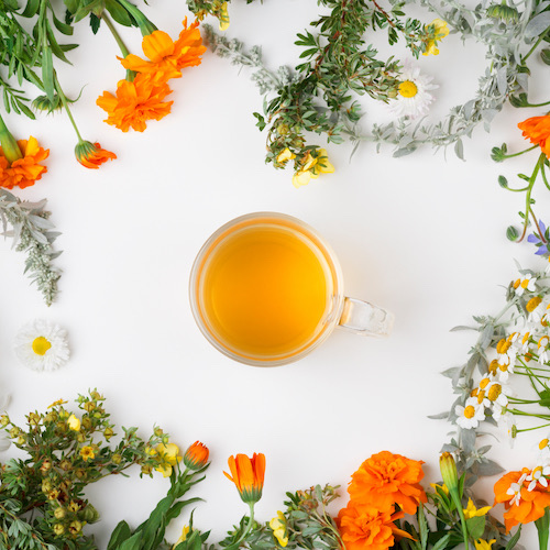 Phytothérapie Pharmacie Chaminant